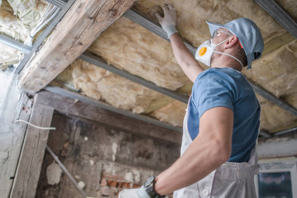 Best Insulation Removal  in Dickson City, PA
