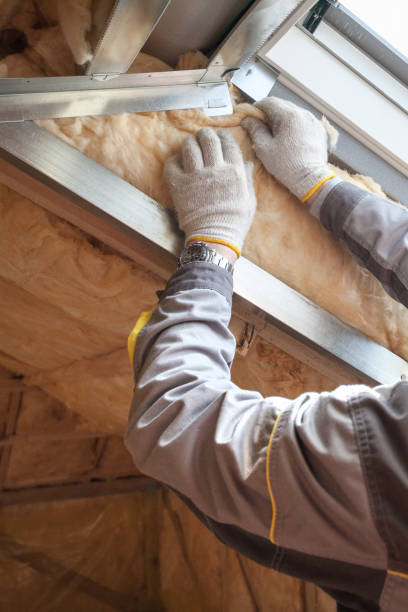 Best Home Insulation Services  in Dickson City, PA