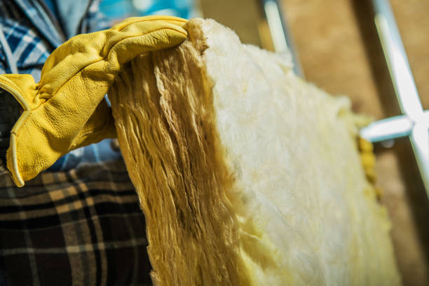 Best Insulation Inspection Services  in Dickson City, PA