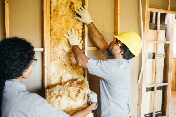 Best Attic Insulation Installation  in Dickson City, PA