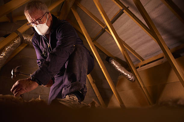 Best Commercial Insulation Contractor  in Dickson City, PA