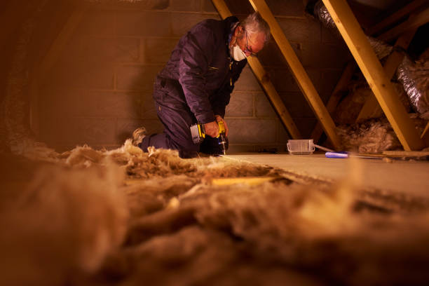 Best Local Insulation Services  in Dickson City, PA